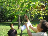 Naučno leto 2015.